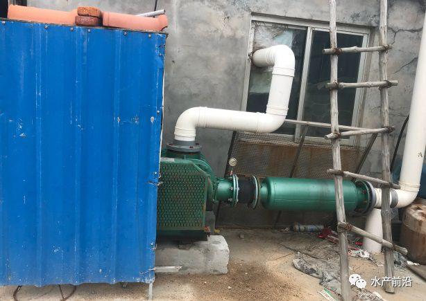 出蝦27斤/立方，連續三造成功后，工廠化養蝦在他看來并不難！