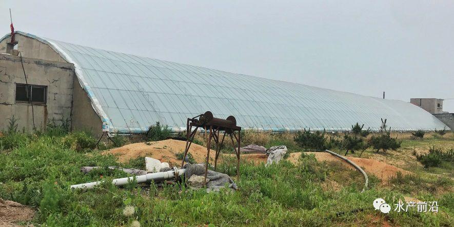 出蝦27斤/立方，連續三造成功后，工廠化養蝦在他看來并不難！